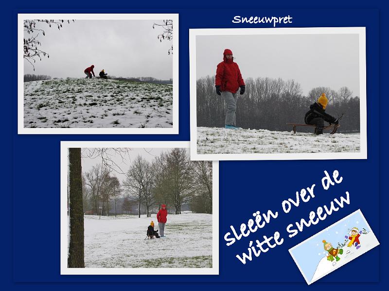 Wandeling De Paalse Plas 24-2-2013 (46).jpg